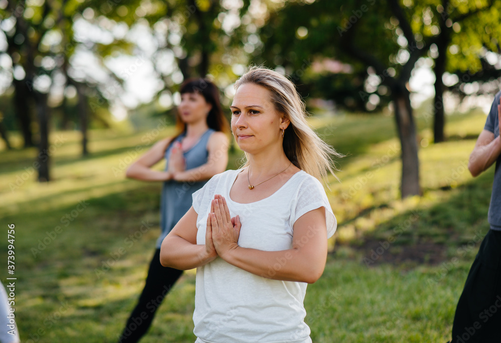 A group of people do yoga in the Park at sunset. Healthy lifestyle, meditation and Wellness A group of people do yoga in the Park at sunset. Healthy lifestyle, meditation and Wellness