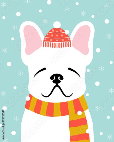 Christmas dog cute cartoon vector portrait. Puppy French bulldog wearing  scarf. Winter, Christmas, pets, dog lovers theme design element, flat contemporary style