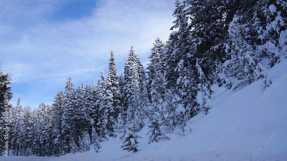 winter, snow, forest, landscape, cold, tree, nature, sky, mountain, christmas, frost, white, trees, blue, fir, season, frozen, ski, snowy, pine, ice, scene, beautiful, outdoor, xmas winter, snow, forest, landscape, cold, tree, nature, sky, mountain, christmas, frost, white, trees, blue, fir, season, frozen, ski, snowy, pine, ice, scene, beautiful, outdoor, xmas