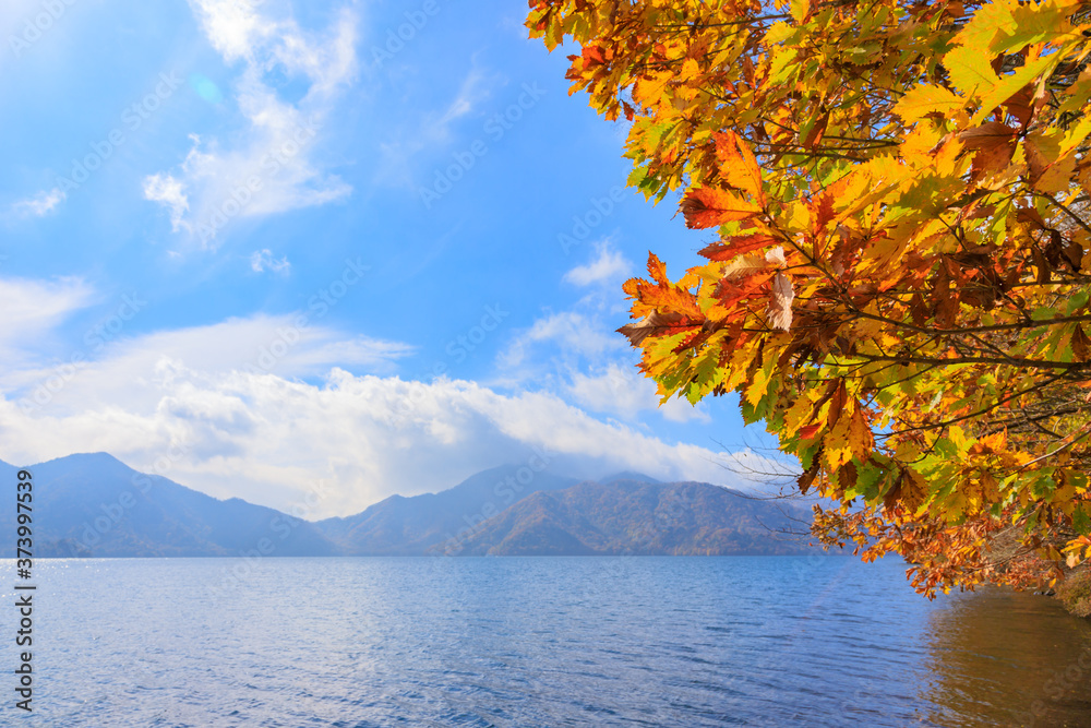 美しい湖と青空と紅葉