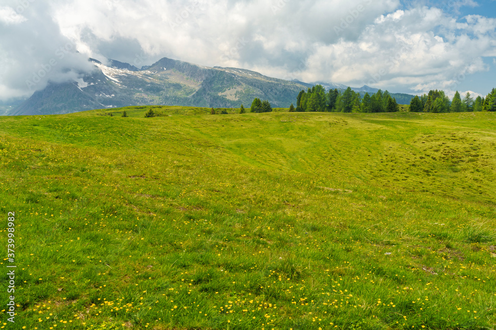 Landscape of Dolomites in Venegia valley at summer