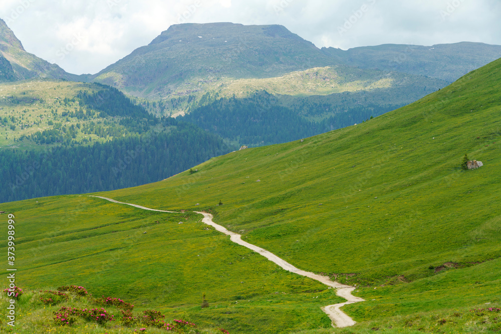 Landscape of Dolomites in Venegia valley at summer