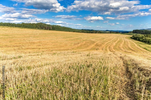 Agricultural landscape in the Czech Republic. Grain harvest. Mown field. Straw in the field. Summer day on the farm.