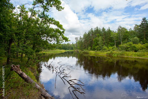 river in tje forest