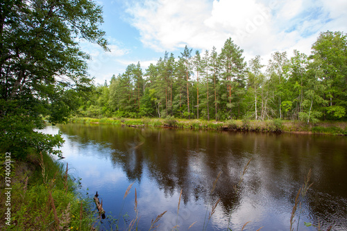 River in the forest