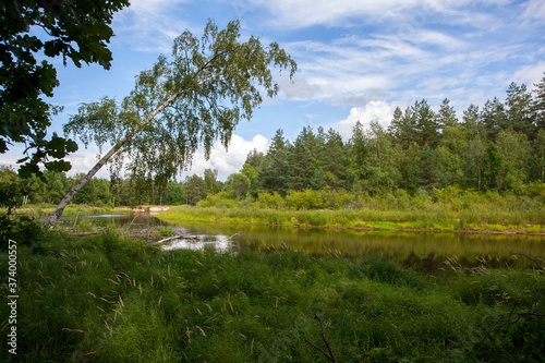 River in the forest