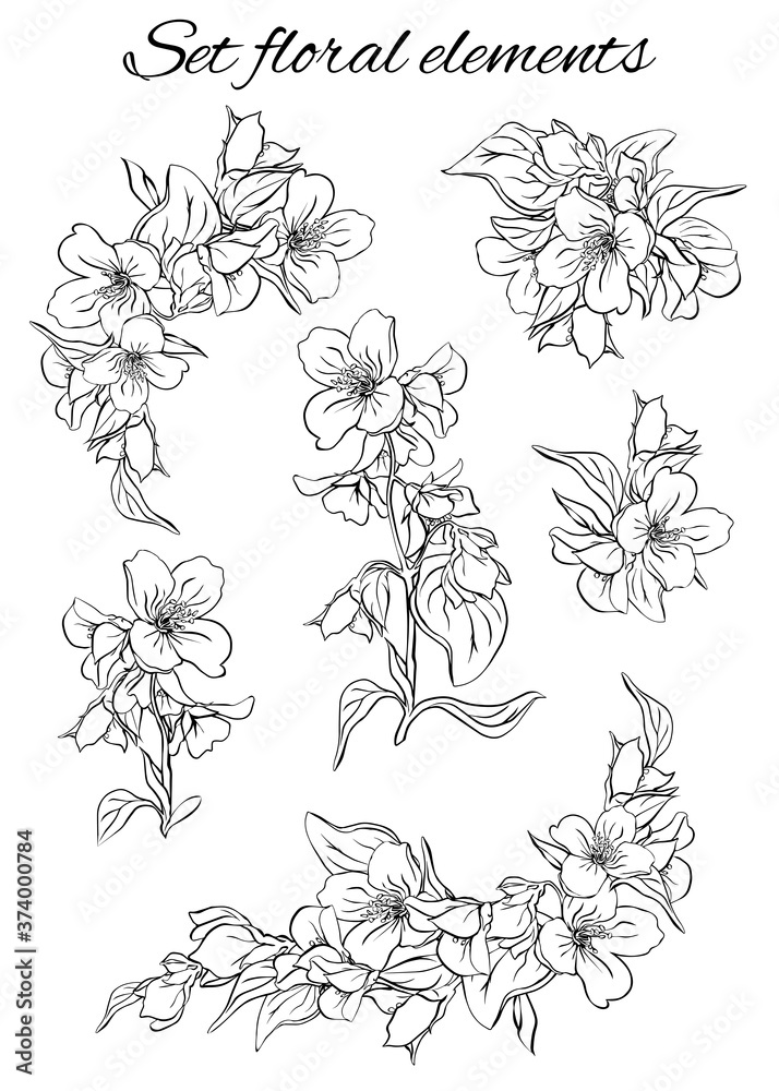 Fototapeta premium Illustration of a branch of blooming jasmine with leaves and buds.