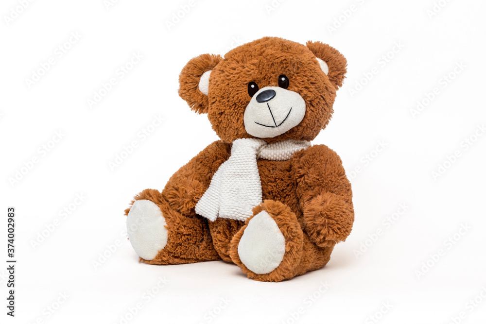 Teddy Bear Teddy Bear