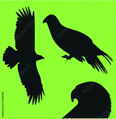Falcon icon