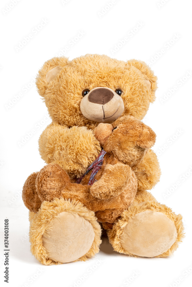 Obraz premium Teddy bear with little bear on white background.
