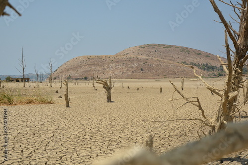 Dry land in tunisia