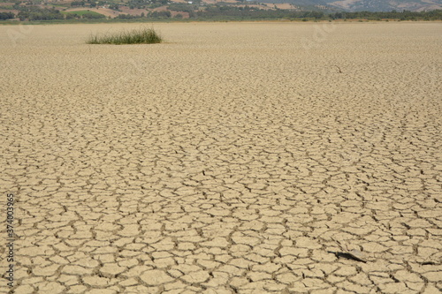 dry landscape 