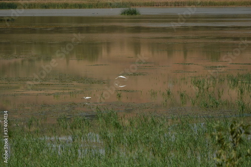 Lake in tunisia