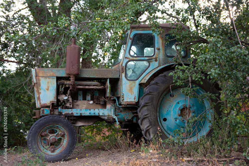 Obraz premium Vintage photo - an old blue tractor standing under a green branching tree