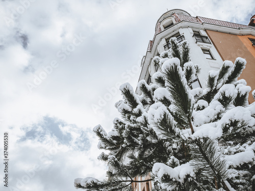 Fragment of a building and a pine tree covered with snow on a background of a cloudy sky