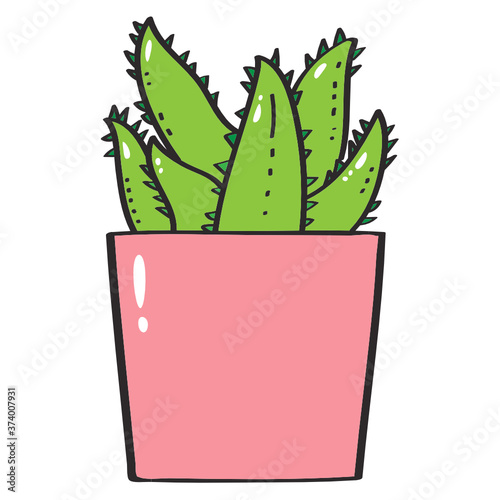 Green Succulent plant Aloe vera in pink pot vector illustration