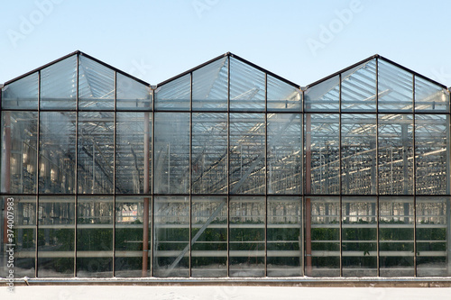 exterior of a large glass industrial greenhouse for growing tomatoes