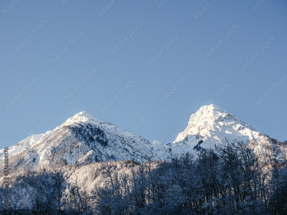Snow-capped mountain peaks with forest in the foreground and blue sky in the background Snow-capped mountain peaks with forest in the foreground and blue sky in the background