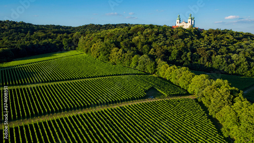 winnica oraz klasztor na wzgórzu
