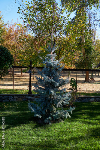 Russia. Kamensk-Shakhtinsky Rostov region. Old Village. The territory of the landscape park 