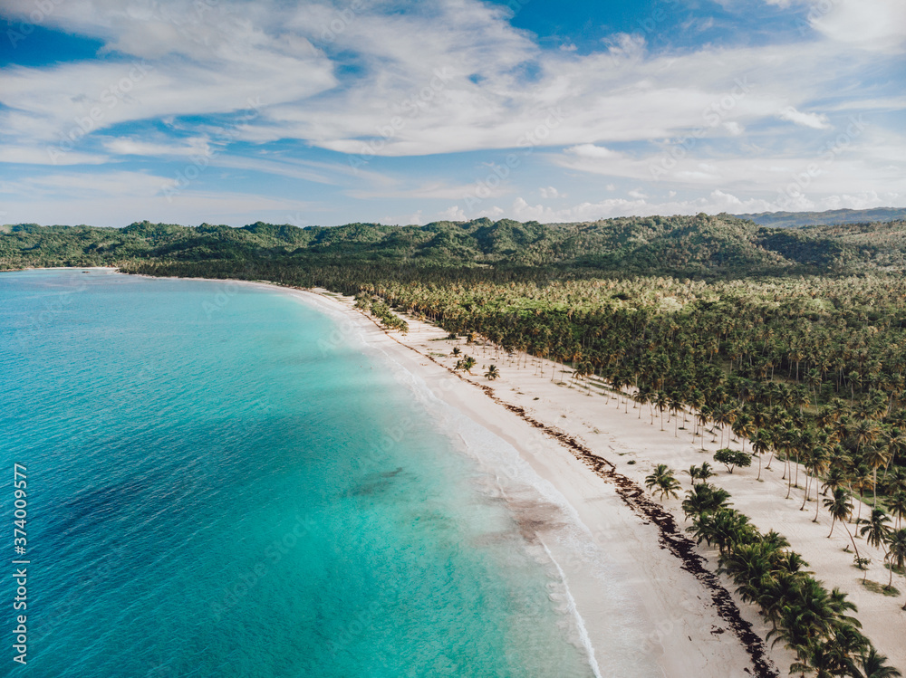 Aerial drone view of paradise beach with palm trees and blue water at the Esmeralda beach, Miches, Dominican Republic  