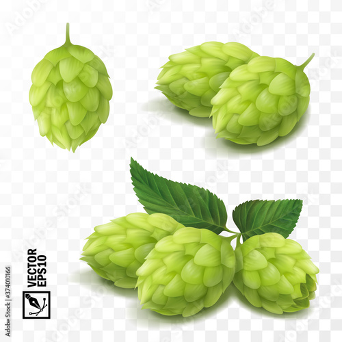 3d vector realistic hop set, for advertising beer and cosmetics