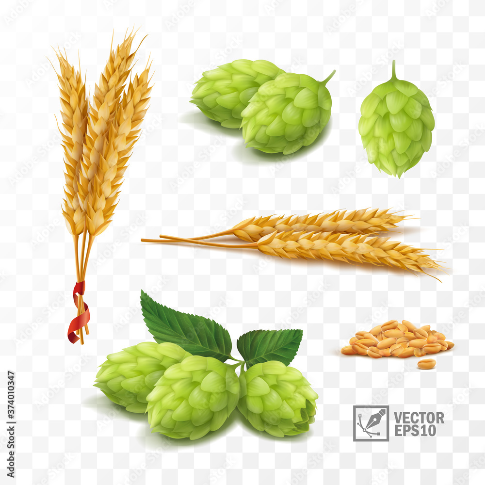 Φωτογραφία 3d realistic set for beer, ears and grains of wheat, hop cones