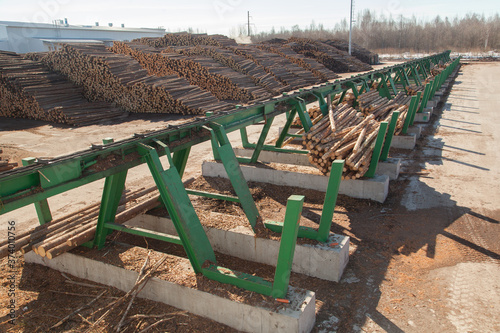 Conveyor for sorting logs at a sawmill