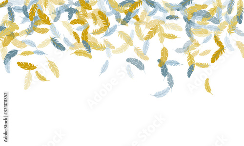 Fluffy twirled feathers on white design.