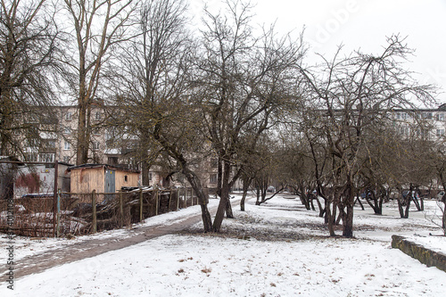 Winter park landscape with bare trees © Дэн Едрышов