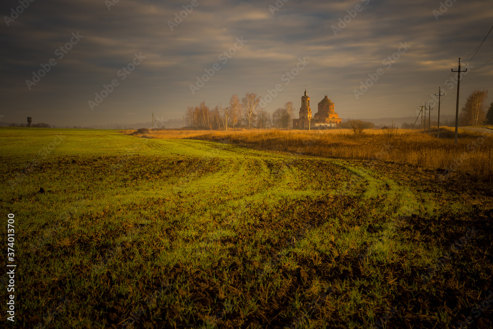 Fototapeta premium sunset over the field