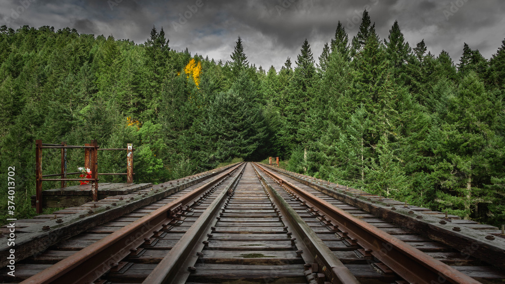 Fototapeta premium railway in the forest