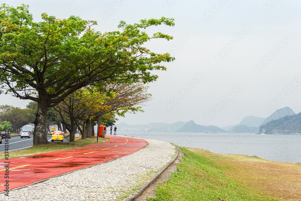 Obraz premium A coast street with a green tree and a red road