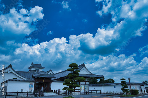 千葉県立 関宿城 Japanese castle　 photo