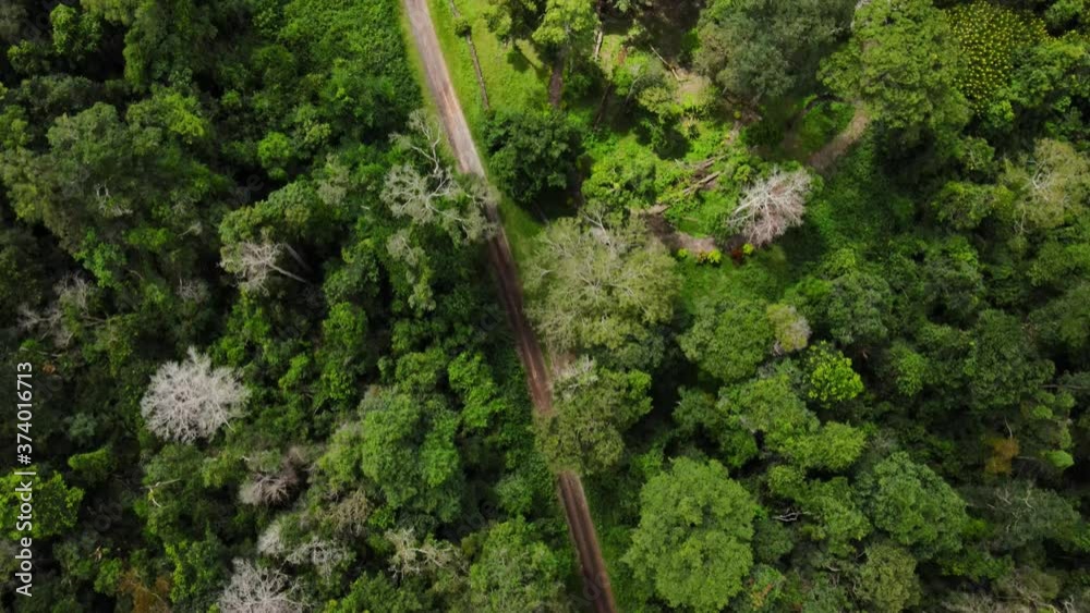 Bird's eye view Many refreshing green tropical forests. Bird's eye view Many refreshing green tropical forests.