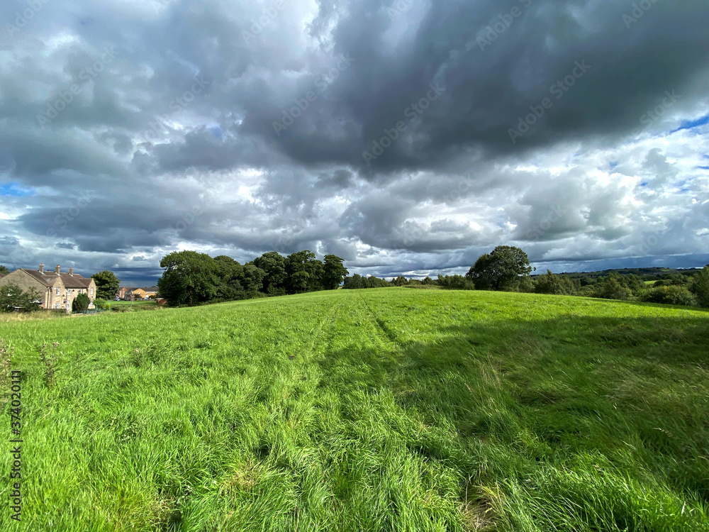 Obraz premium Landscape view, looking over a meadow, with long grass, with trees, houses, and heavy rain clouds in, Allerton, Bradford, UK