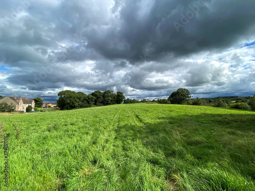 Landscape view, looking over a meadow, with long grass, with trees, houses, and heavy rain clouds in, Allerton, Bradford, UK photo