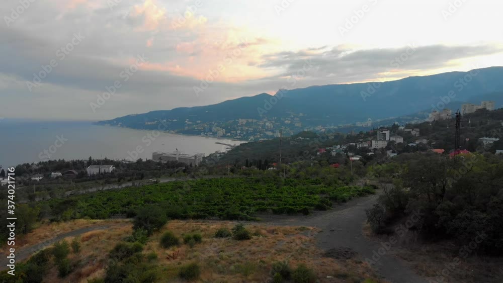 aerial view of the city of yalta over the vineyards
aerial view of the city of yalta over the vineyards
