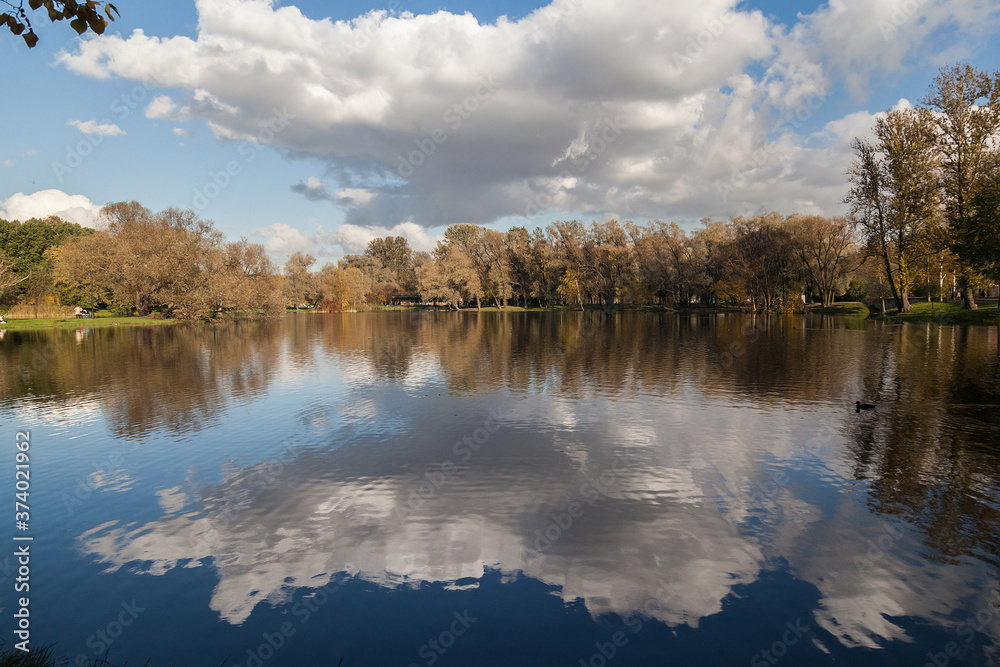 Small lake autumn park landscape with bright trees