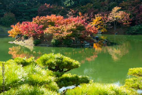 Japanese-style garden