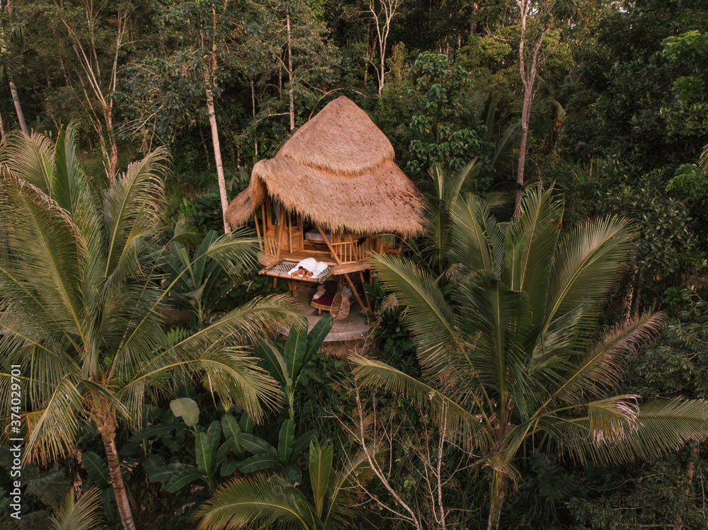 Aerial view from drone happy travel couple on hammock balcony of bamboo  tree house with jungle nature view. Vacation in beaitiful hidden place,  honeymoon on Bali island Photos | Adobe Stock