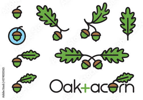Set of 9 acorn and oak leaf design elements.
Decorative nature illustrations with bold outline.