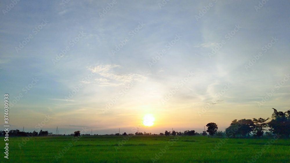 Evening sunset in the field