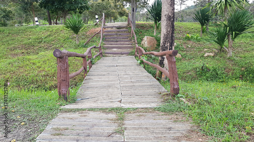 Walkway stone path in forest  by vegetation