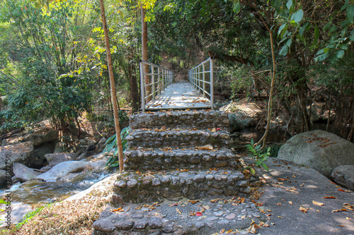 Walkway stone path in forest  by vegetation