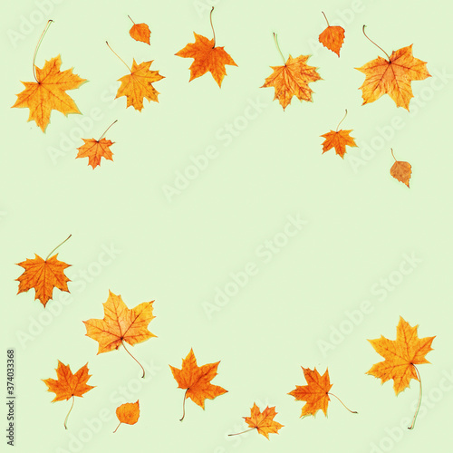 Pattern made of dry autumn leaves swirl. Autumn frame.