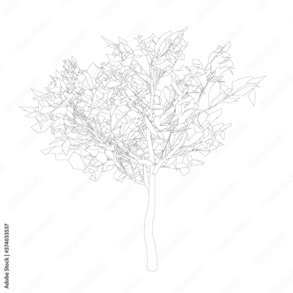 The contour of a tree from black lines on a white background. Isolated tree on a white background. Vector illustration