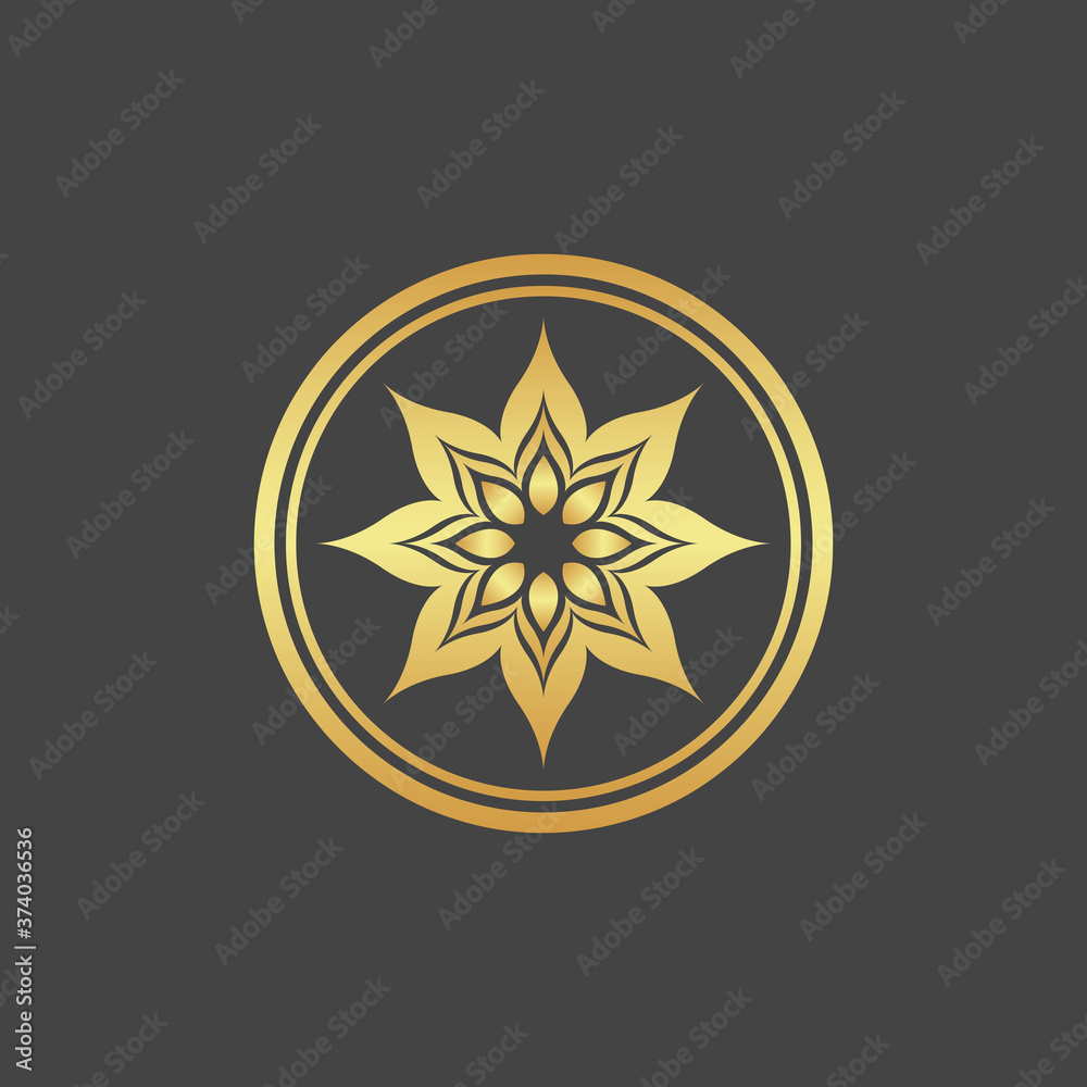 Flower concept Flower concept