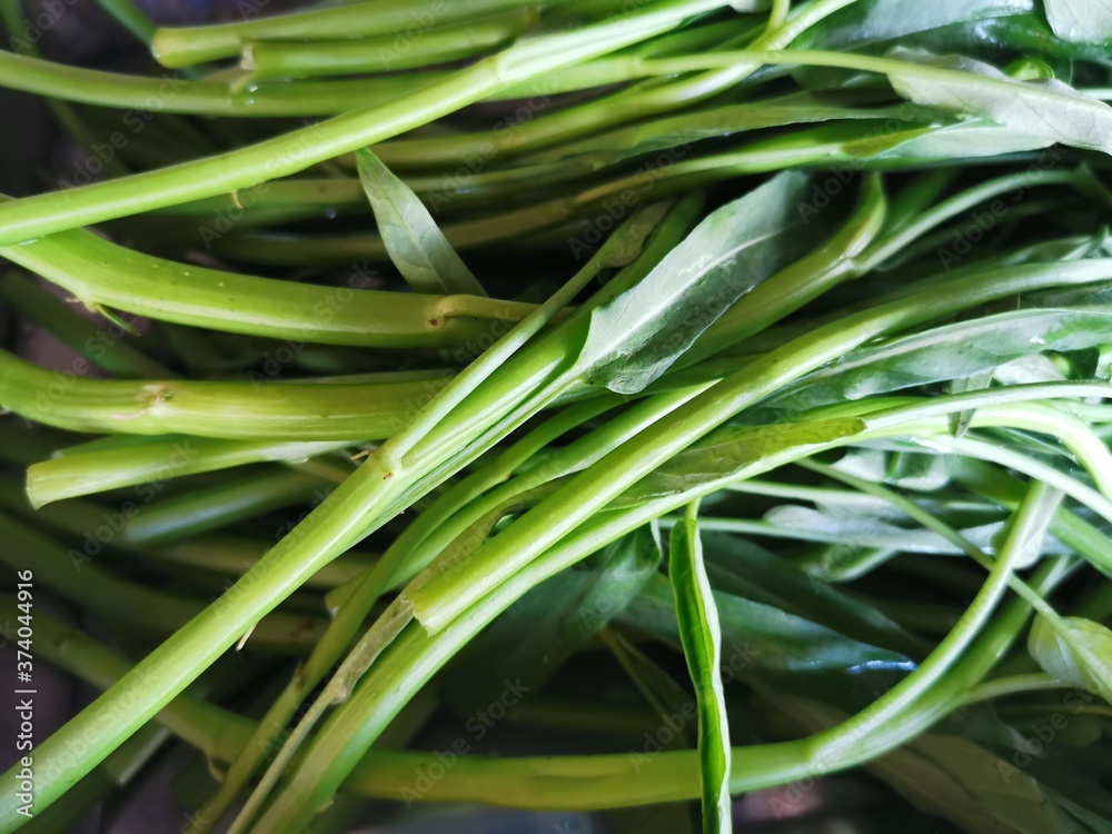 Obraz premium fresh vegetables used for cooking contain vitamins that benefit the body.
