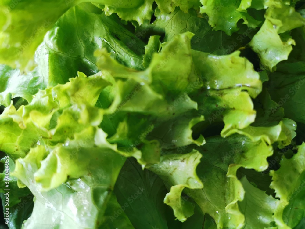 fresh vegetables used for cooking contain vitamins that benefit the body. fresh vegetables used for cooking contain vitamins that benefit the body.